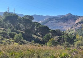 Blick auf die Sierra de Mijas.