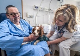 Iñigo bekommt im Krankenhaus von Txagorritxu Besuch von seinem Hund Vera in Anwesenheit von Puri, der Pflegerin.
