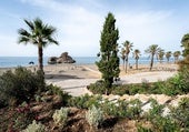 Am Strand von Peñon del Cuervo werden erstmals kürzlich gepflanzte Bäume und Sträucher mit aufbereitetem Wasser versorgt.
