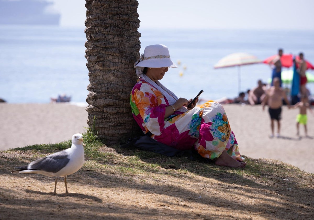74 Prozent der einheimischen Touristen bevorzugen laut der neuen Zahlen den Strandurlaub.