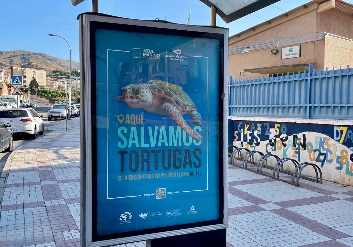 Plakate für die Kampagne.