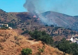 Fünf Waldbrände in knapp 30 Stunden in Villanueva de la Concepción, Álora, Casares, Moclinejo und Mijas