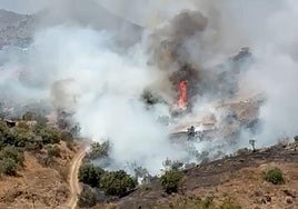Erneuter Waldbrand im Osten der Stadt Málaga - Rund 30 Einsatzkräfte vor Ort