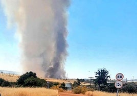 Der durch das Feuer verursachte Rauch.