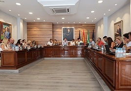 Plenarsitzung im Rathaus von Torrox am Montag.