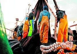 Seeleute auf der Nuevo el Kiko holen das Netz vor der Fahrt nach Alicante ein.