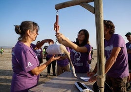 Vermessen und Beringen der Flamingo-Jungvögel.