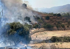 Waldbrand in Mijas mittlerweile stabilisiert