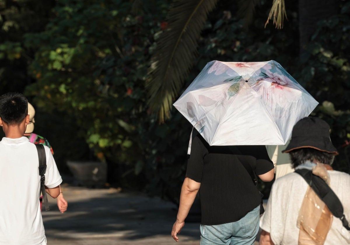 Hitzewelle auch in Málaga: Warnung vor Höchsttemperaturen von bis zu 42ºC für dieses Wochenende