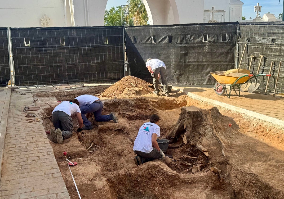 Archäologen arbeiten an der Exhumierung eines der Massengräber auf dem Gemeindefriedhof von Campillos.