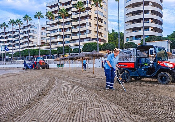 Der Strandwartungsdienst wird das ganze Jahr über tätig sein.
