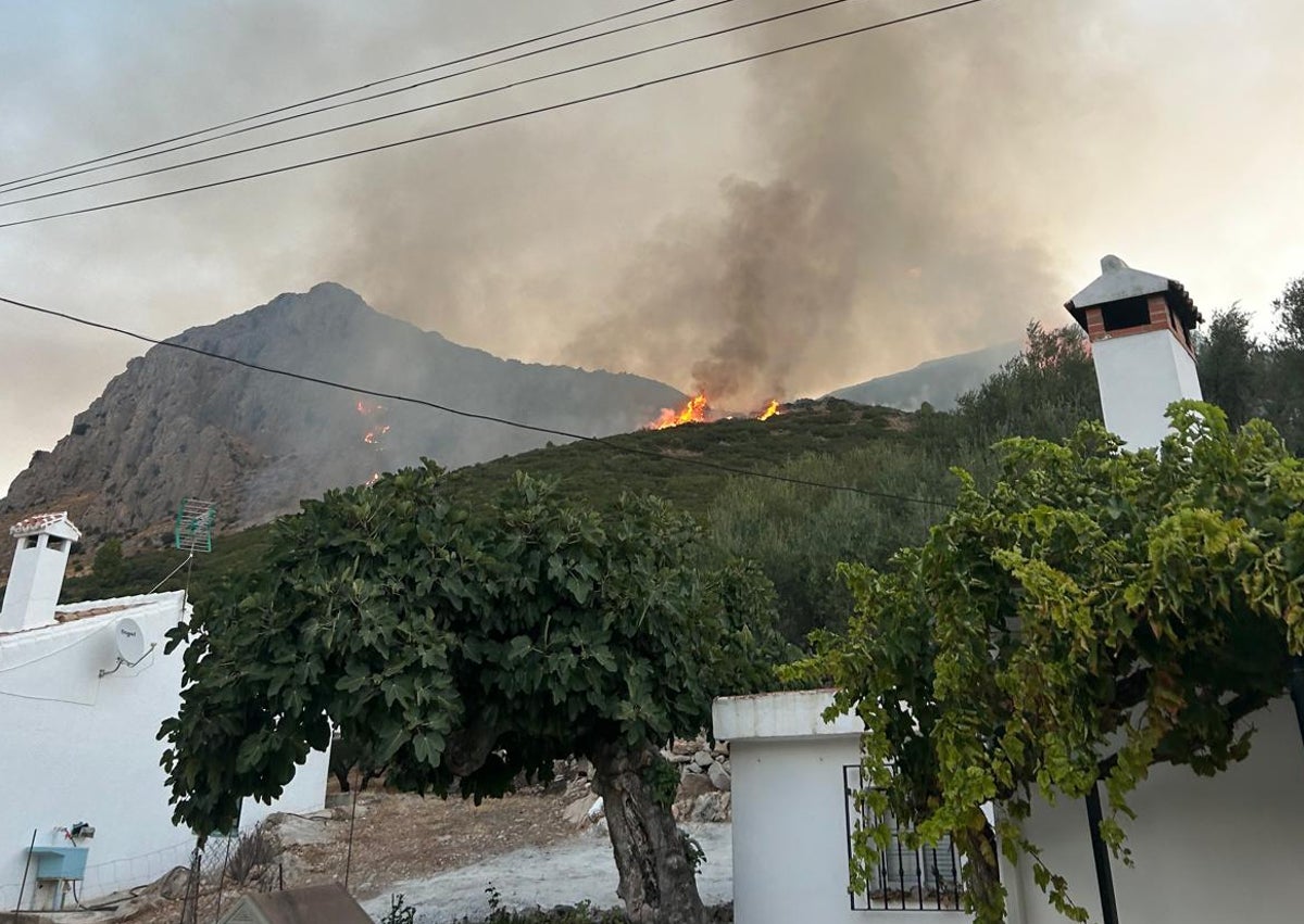 Waldbrand in Alcaucín mittlerweile stabilisiert
