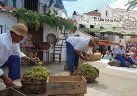 Bei dem Fest kann man Techniken der Rosinenverarbeitung kennenlernen.