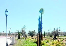 Grünzone im Park