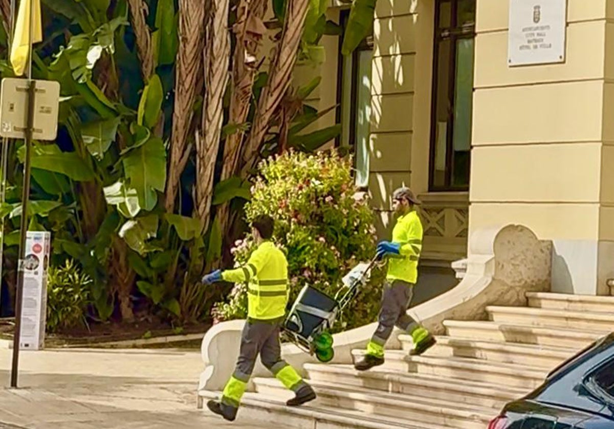 Rattenplage im Rathaus von Málaga: Stadtverwaltung lässt Kämmerjäger kommen