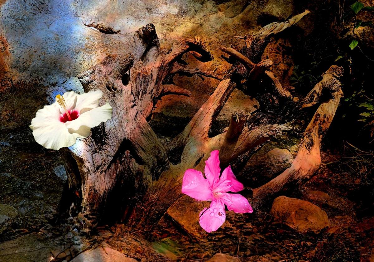 Künstlerische Hommage in Almuñécar an die vielen Facetten Andalusiens