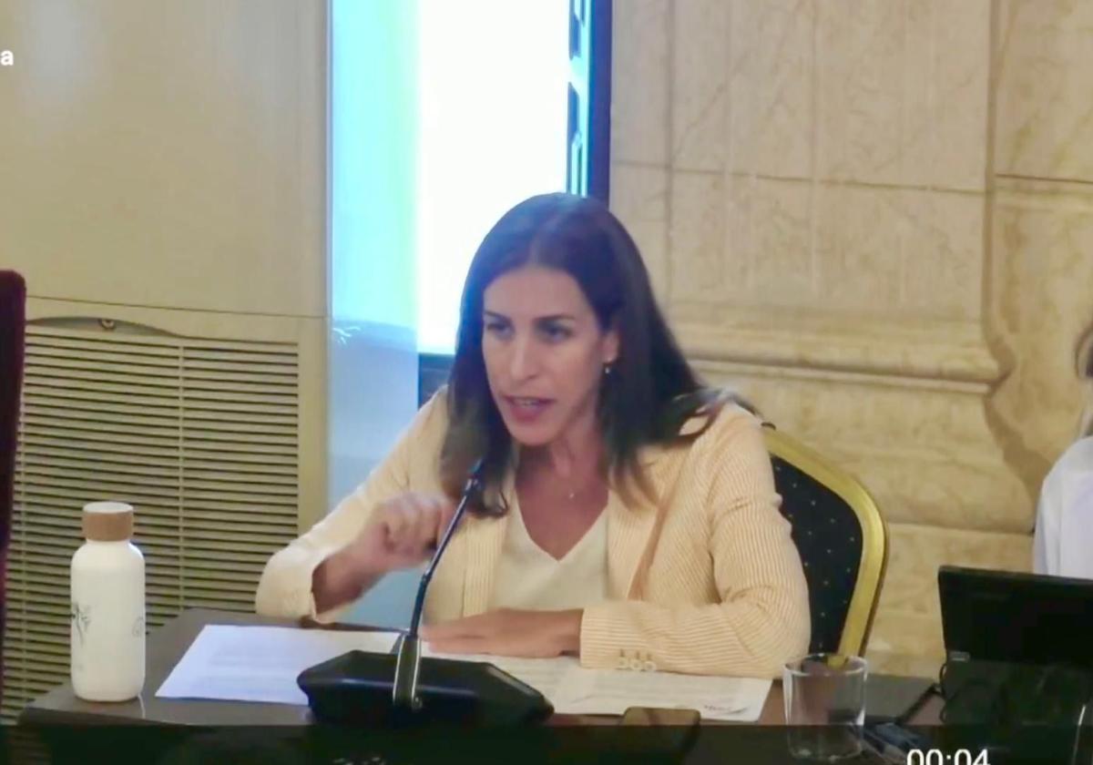 Debatte über Ratten in Málaga läuft auf Plenarsitzung aus dem Ruder