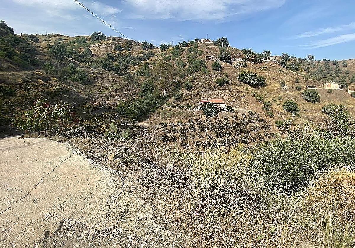 Die ländliche Umgebung von Lomas de Cútar in Almáchar.