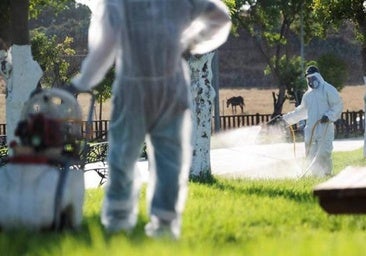 Folgende 11 Gemeinden in Andalusien sind jetzt wegen des West-Nil-Virus in Alarmbereitschaft