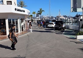 Der TSJA hat das Rathaus verurteilt, das Verfahren zur Legalisierung der Straßen von Puerto Banús einzuleiten.