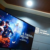 Das Plakat der Show.