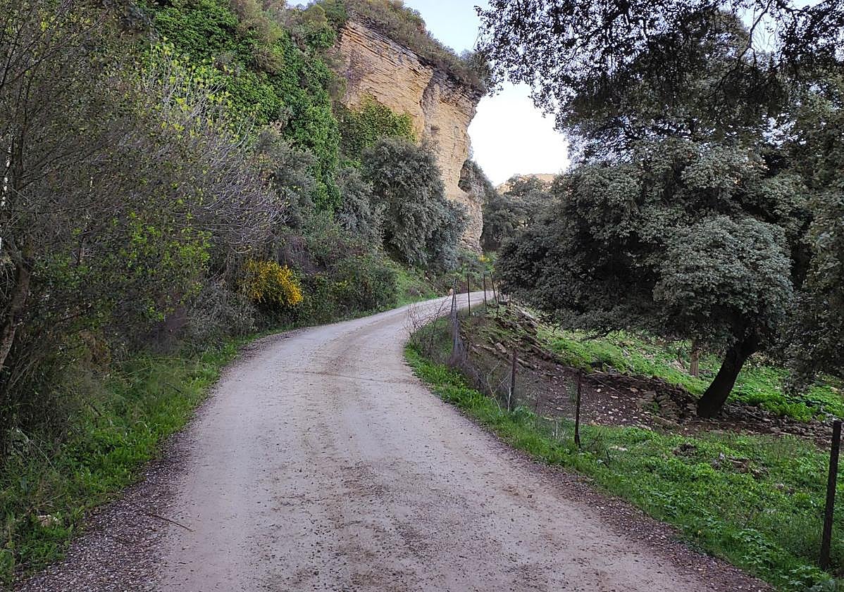 Imagen principal - Die versteckte Schlucht von Ronda, die nicht so berühmt, aber dafür umwerfend ist