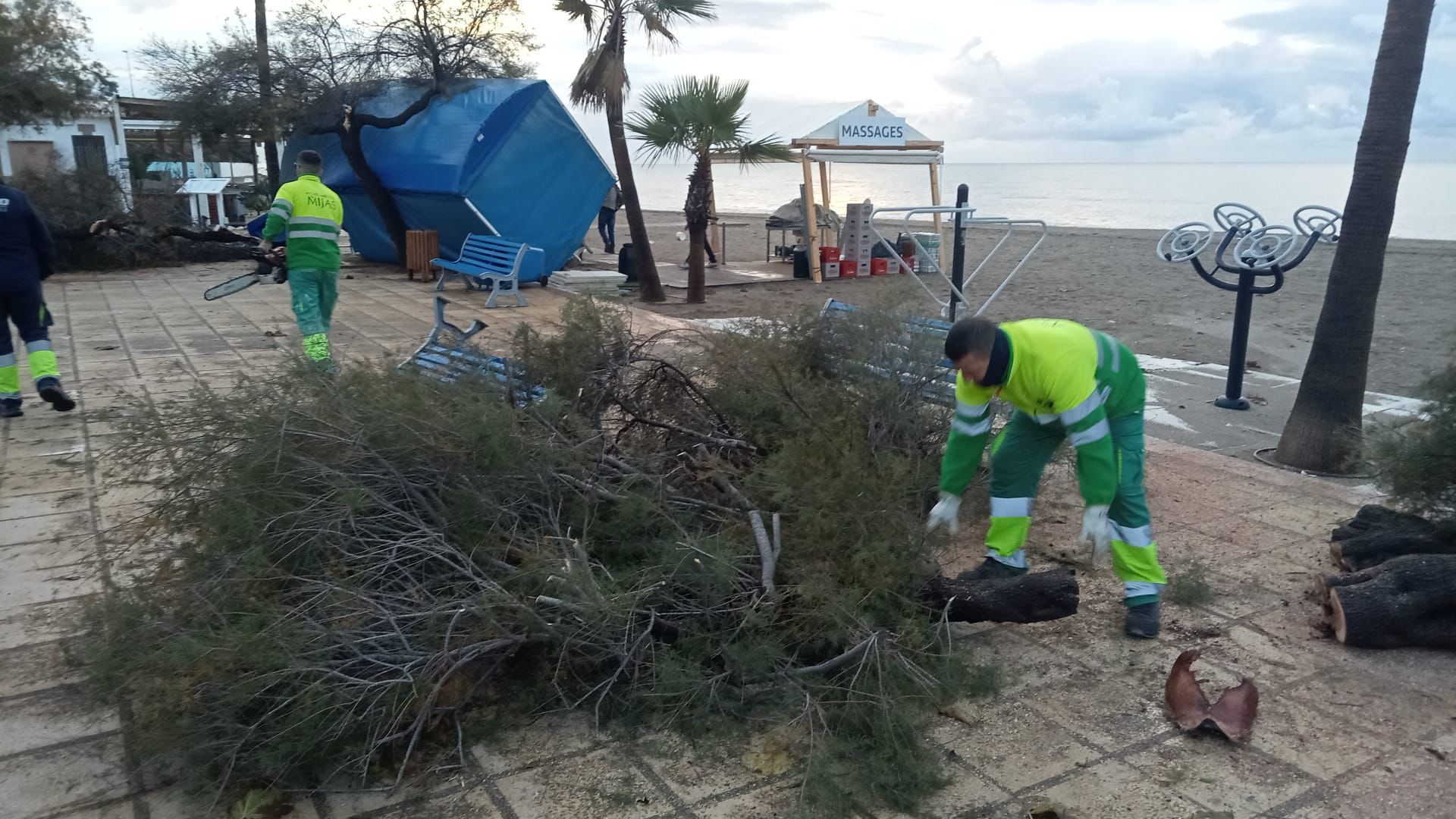 Wind damage in Mijas, where trees have fallen as well as some of the Christmas lights
