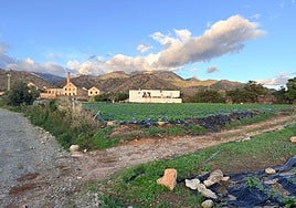Teils des Landes in der fruchtbaren Ebene von Maro.