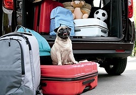 Weniger als ein Prozent der 12.700 Raststätten in Spanien sind wirklich haustierfreundlich.