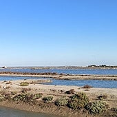 Gezeitensümpfe am Flusslauf des Guadalete in der Provinz Cádiz