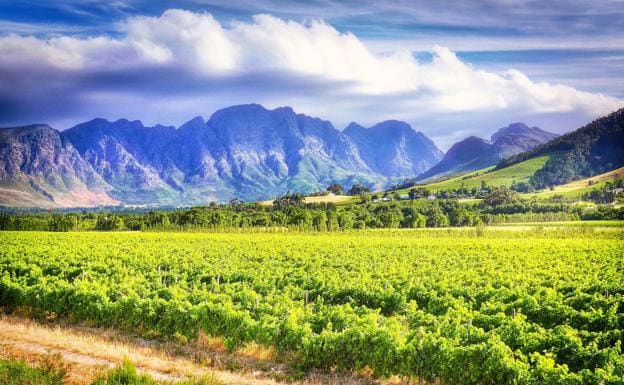 Cape Town winelands.