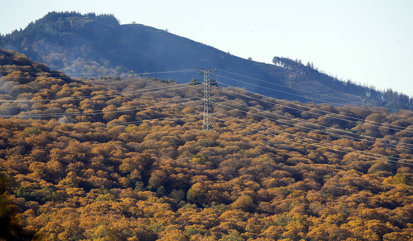 The autumn colours in the Genal Valley. 