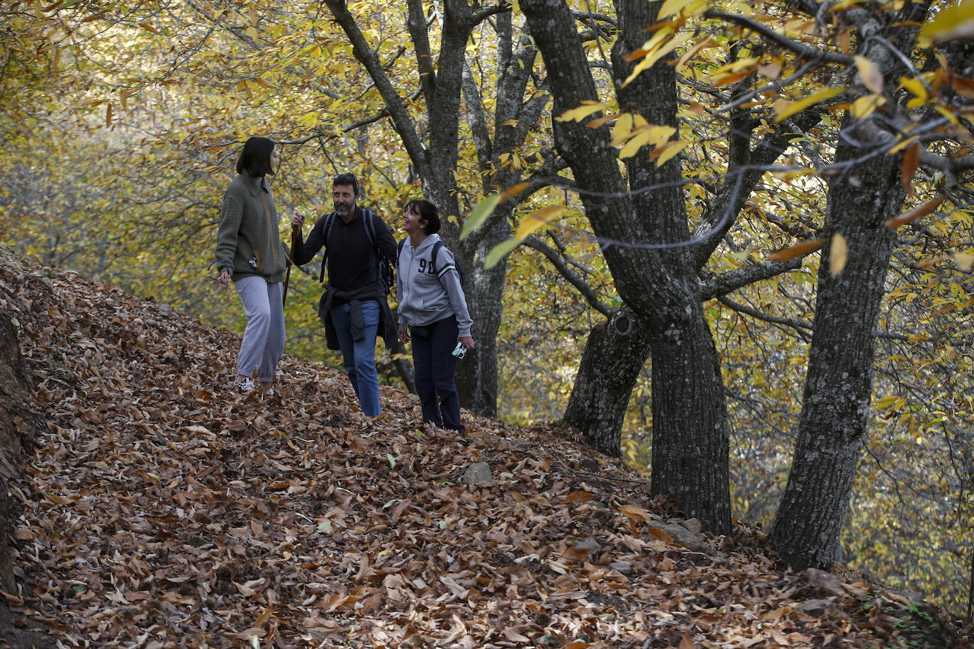 The autumn colours in the Genal Valley. 