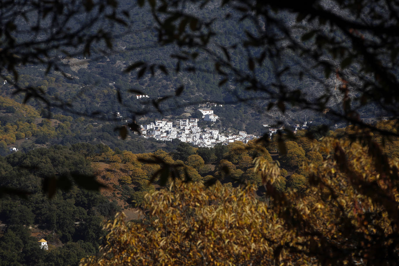 The autumn colours in the Genal Valley. 