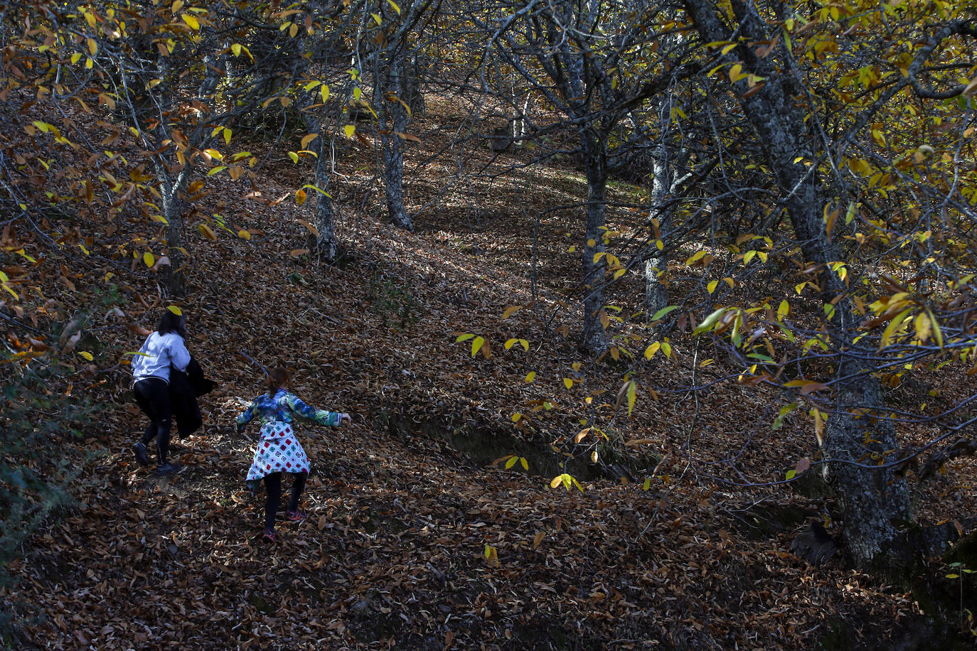 The autumn colours in the Genal Valley. 