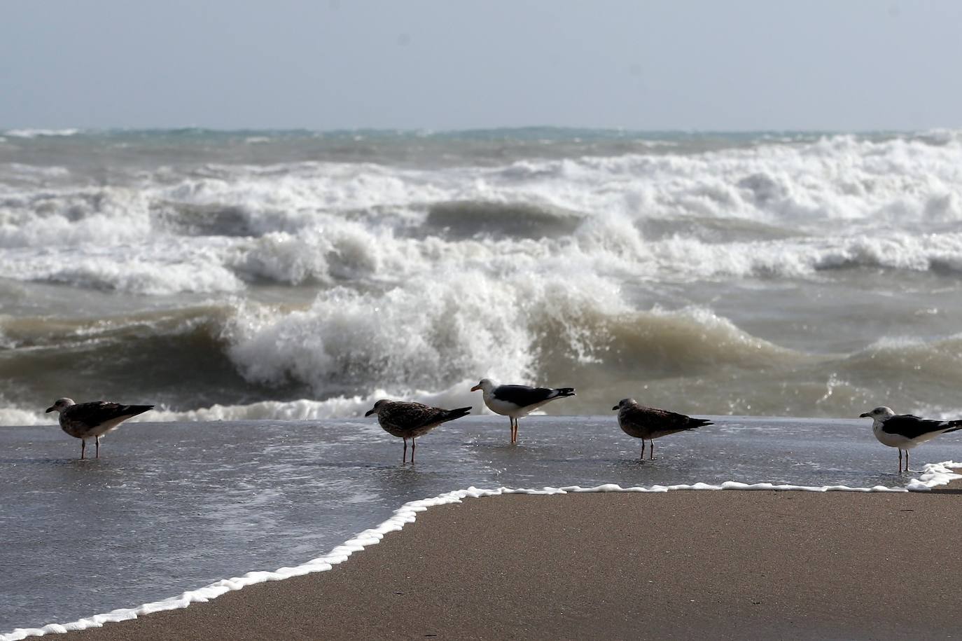 Two people were injured in Malaga province and a beach bar in Fuengirola was flattened. 