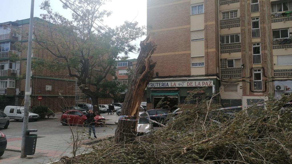 Two people were injured in Malaga province and a beach bar in Fuengirola was flattened. 