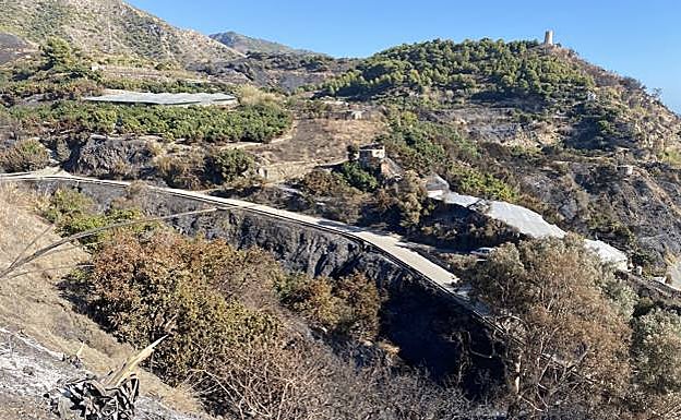 The area affected by the recent fire 