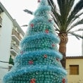 Imagen - Granada's Loja might boast apparently the cheapest tree of Andalucía