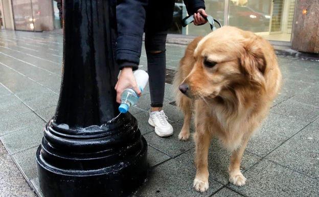 Many municipalities already require residents to dilute the urine of their pets on the street.