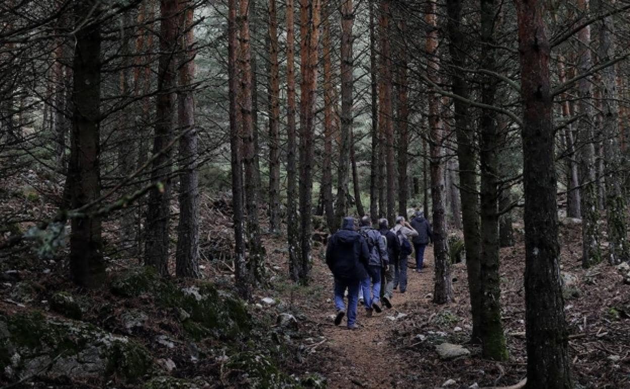 Hiking in the national park. 