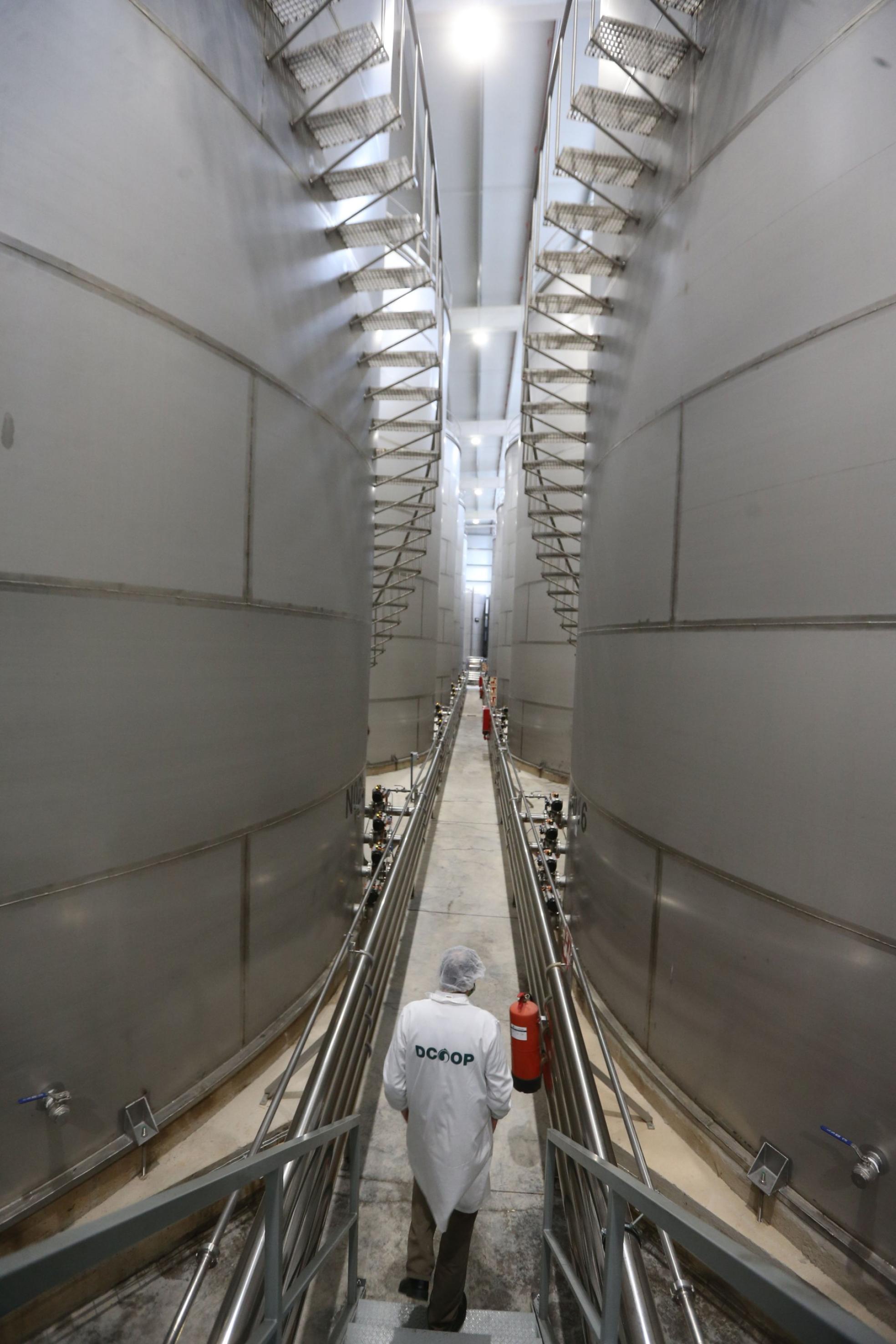 A day at the heart of Dcoop