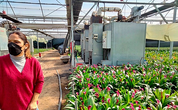 Mirabel Reyes continues the family business. 