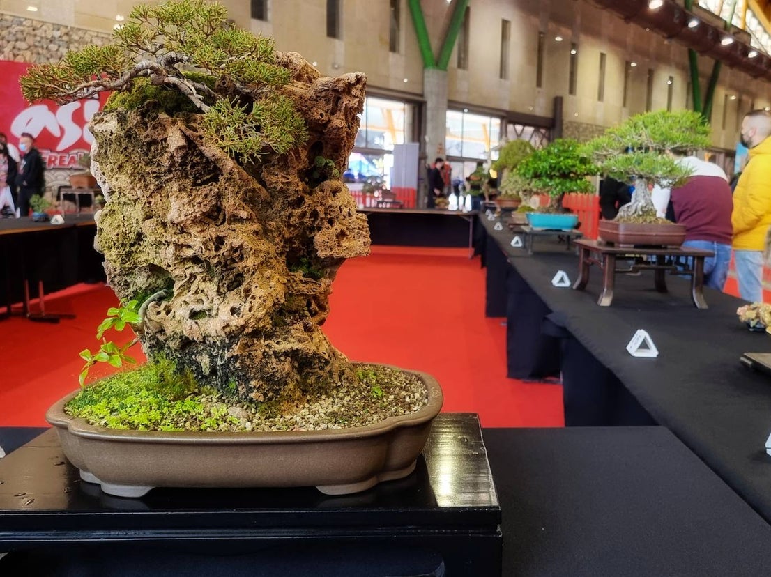 The weekend's events and entertainment were tailored to all tastes. 