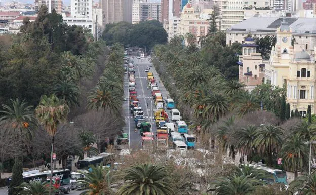 Lorries on the Paseo del Parque this Thursday morning.