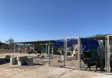 Imagen secundaria 1 - Triple A animal shelter gets makeover for 30th birthday