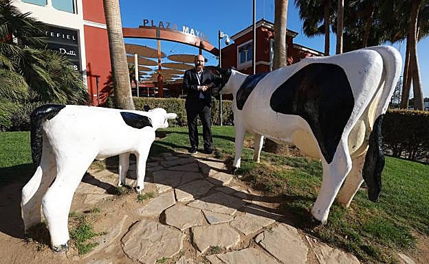 Imagen principal - Plaza Mayor, the centre that revolutionised shopping in Malaga