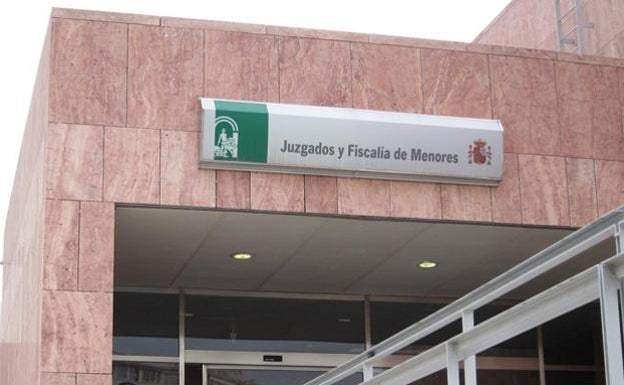 Youth accused of stabbing his father 15 times arrested in Churriana