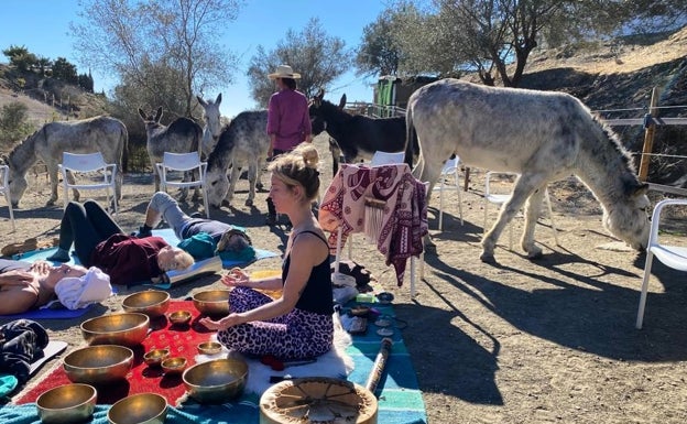 Celebrating donkeys throughout the month of May