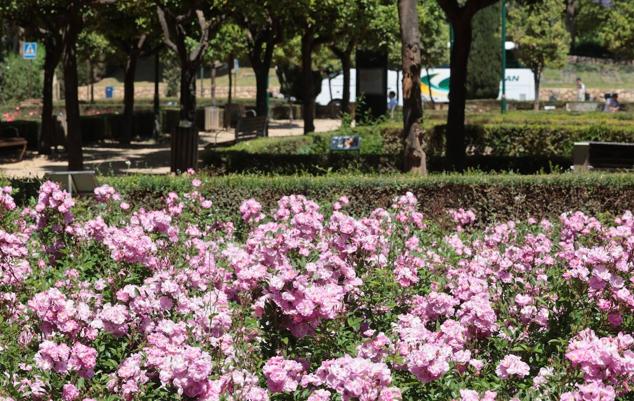 Explosion of colours and scents in Malaga's parks and gardens. 